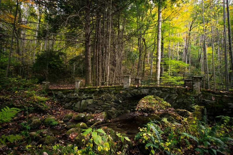Elkmont troll bridge