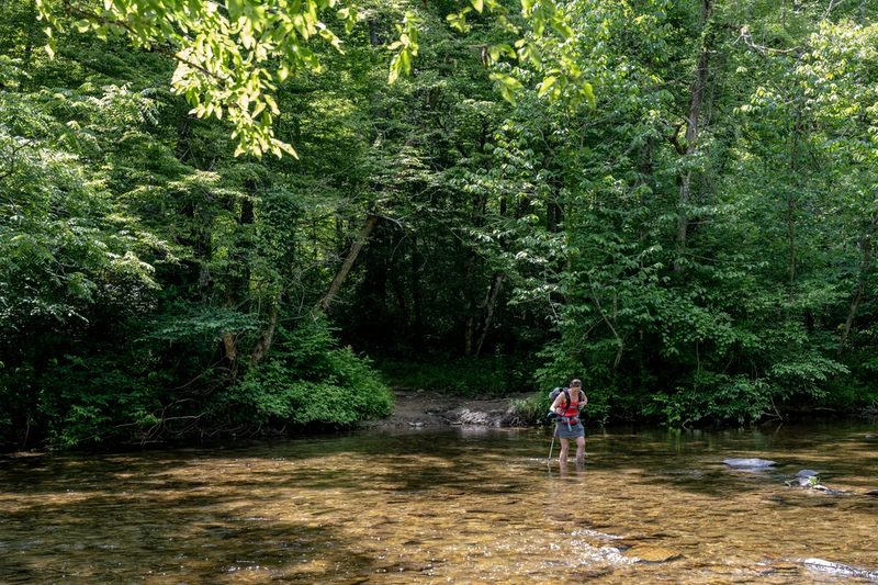 Hannah Mountain Trail near cades cove