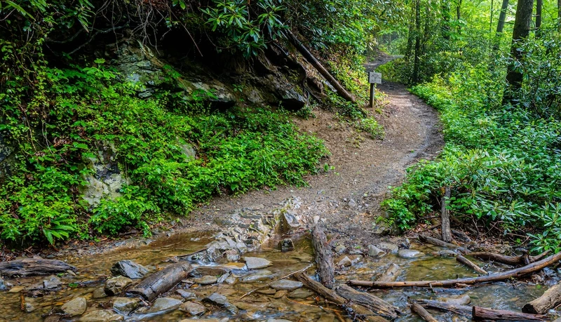 Fighting Creek Trail with creek